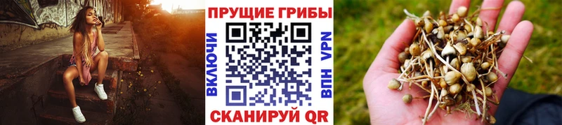 Псилоцибиновые грибы мицелий  Купить где  Малаховка 